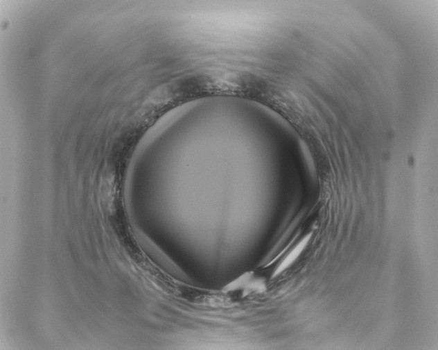 X0000088370223200706121128