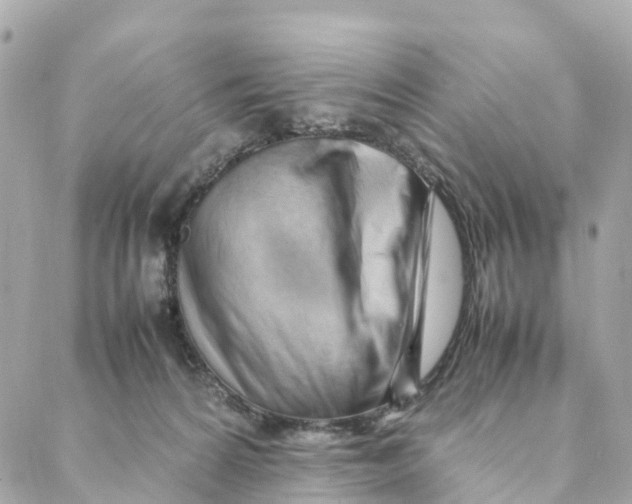 X0000088370224200706121128