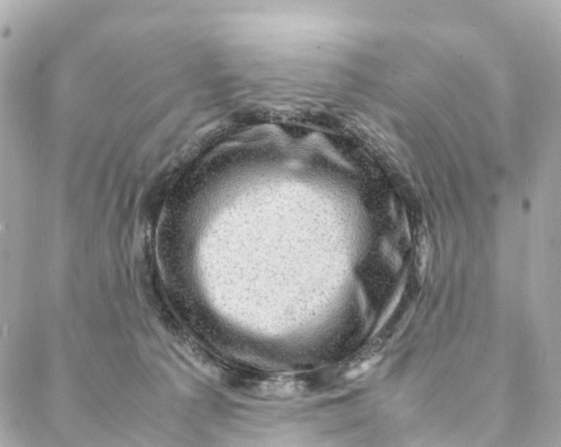 X0000088370225200706121128