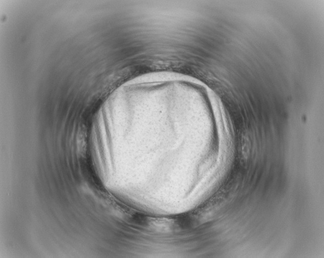 X0000088370226200706121128