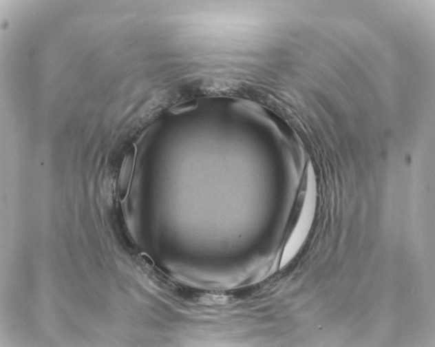 X0000088370227200706121128