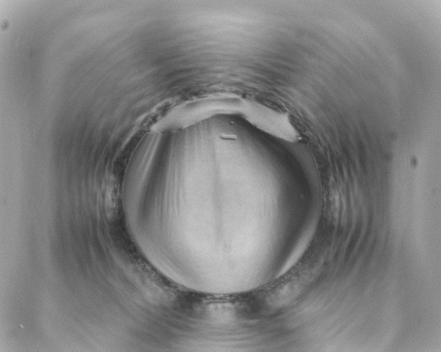 X0000088370228200706121128