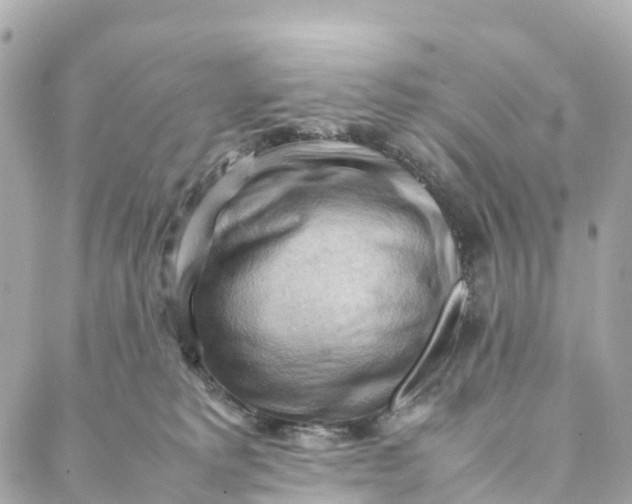 X0000088370229200706121128