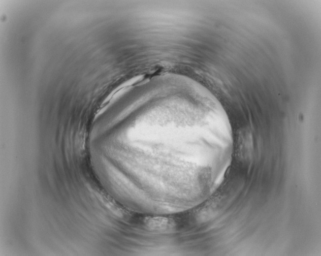 X0000088370230200706121128