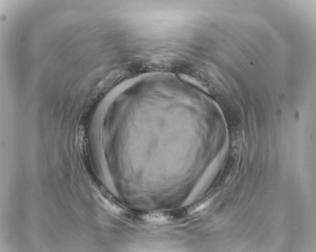 X0000088370231200706121128