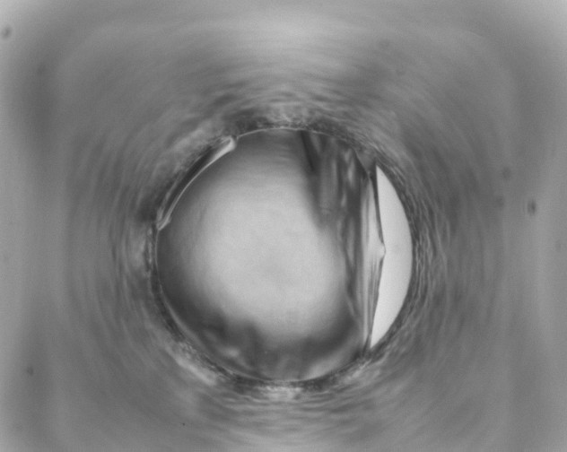 X0000088370233200706121128