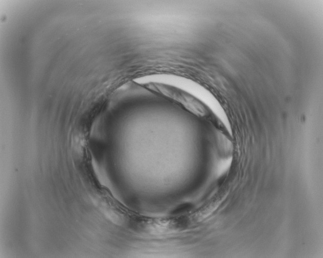 X0000088370235200706121128