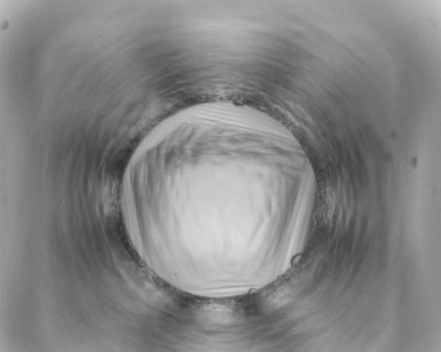 X0000088370236200706121128