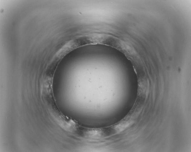 X0000088370237200706121128