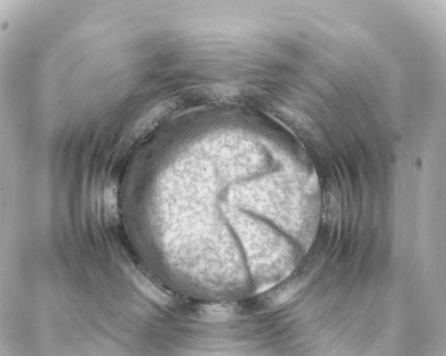 X0000088370238200706121128