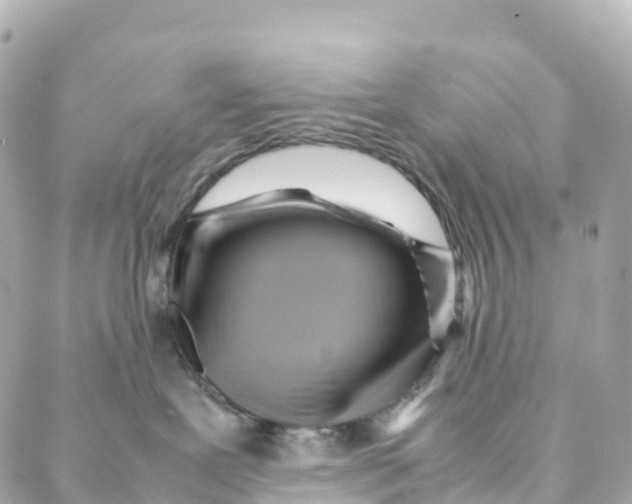 X0000088370239200706121128