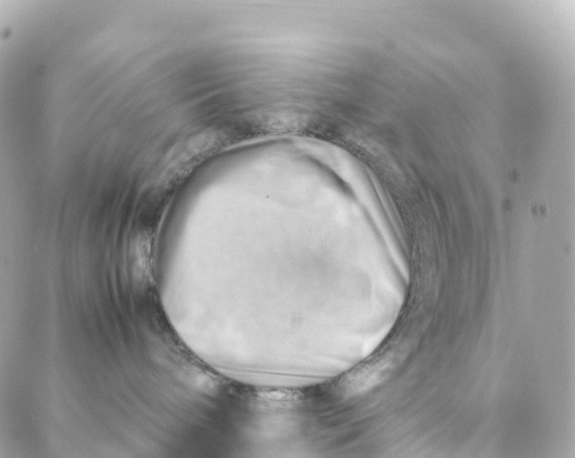 X0000088370240200706121128