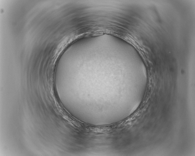 X0000088370241200706121127