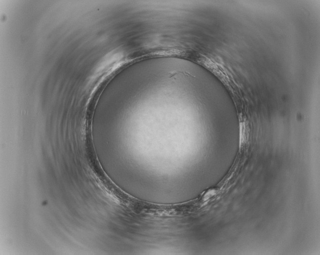 X0000088370243200706121127