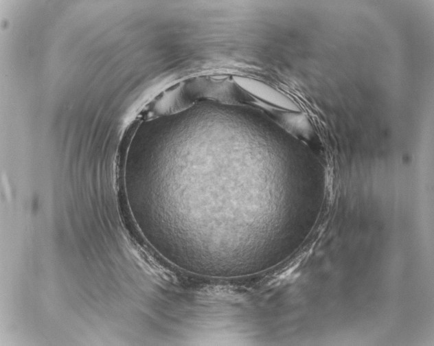 X0000088370244200706121127