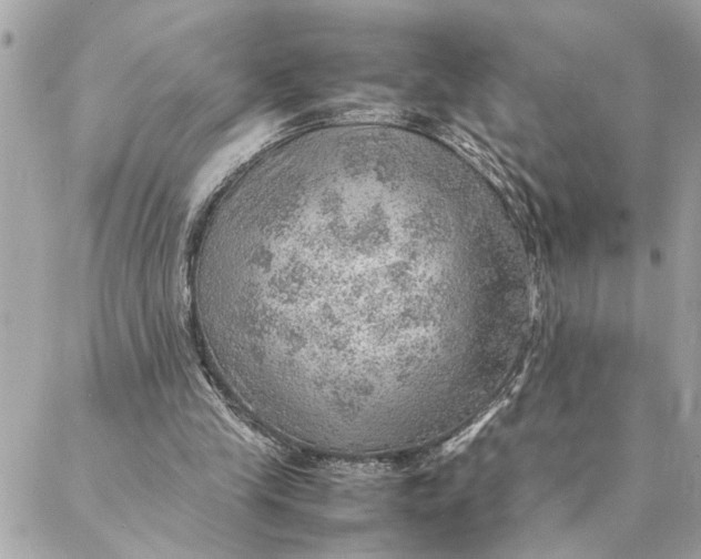 X0000088370245200706121127