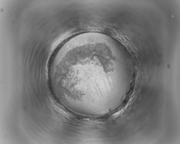 X0000088370246200706121127