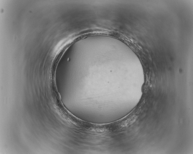 X0000088370247200706121127