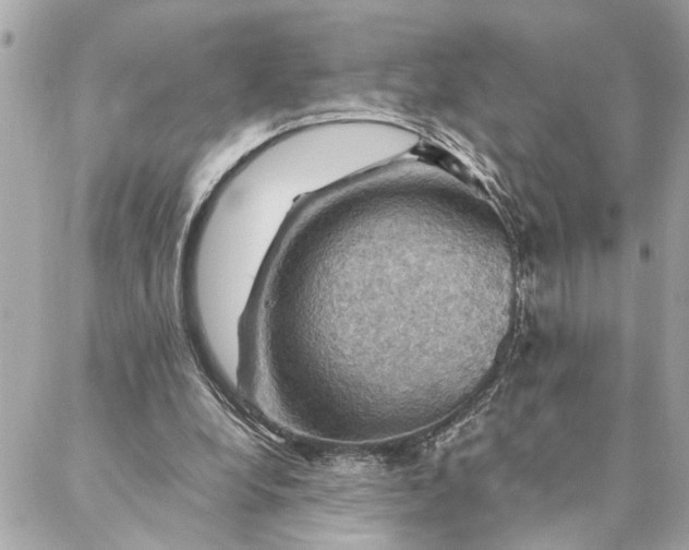 X0000088370248200706121127