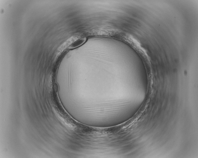 X0000088370250200706121127