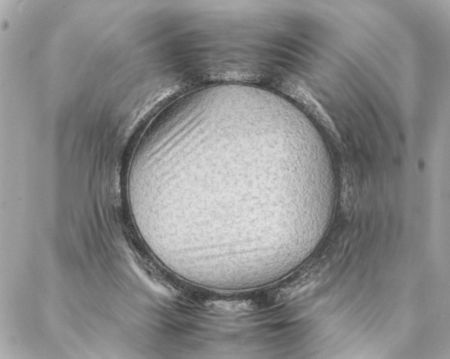 X0000088370251200706121127