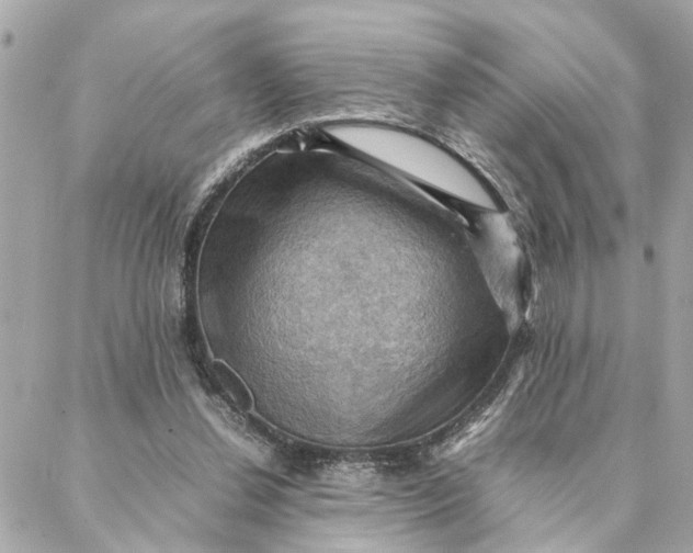 X0000088370252200706121127