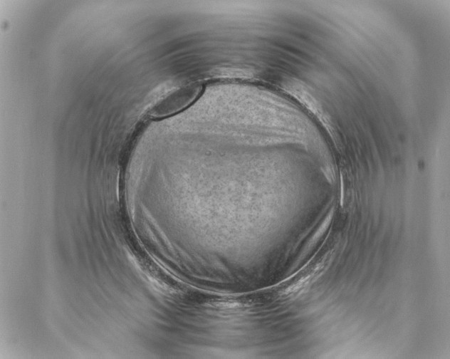 X0000088370253200706121127