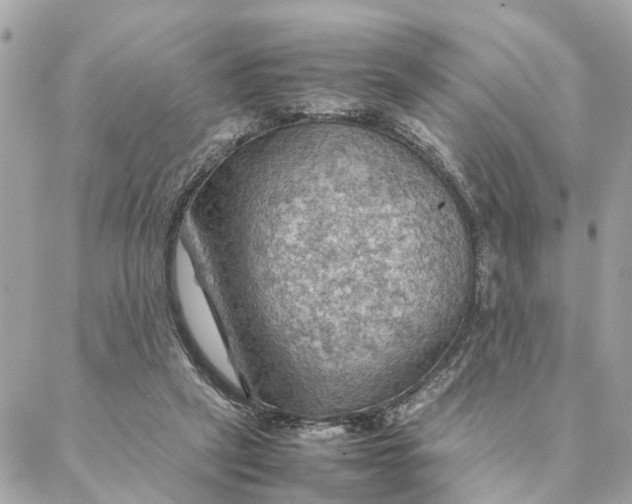 X0000088370257200706121127