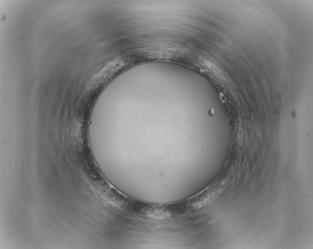 X0000088370258200706121127