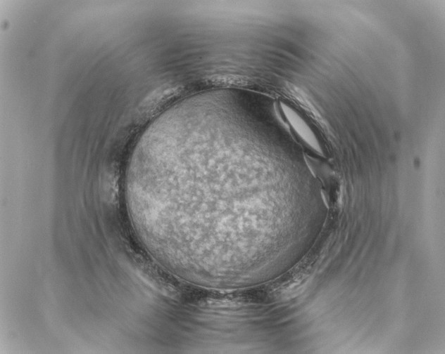 X0000088370259200706121127