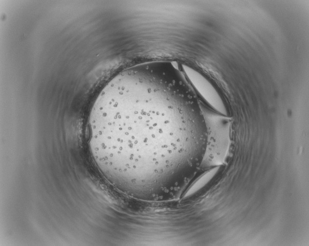 X0000088370260200706121127