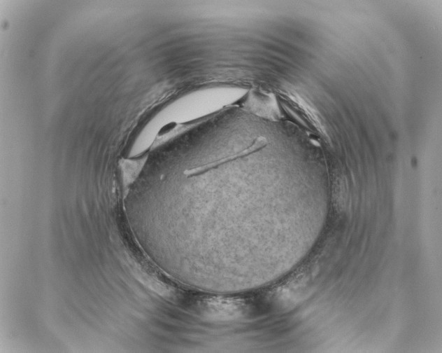 X0000088370261200706121127