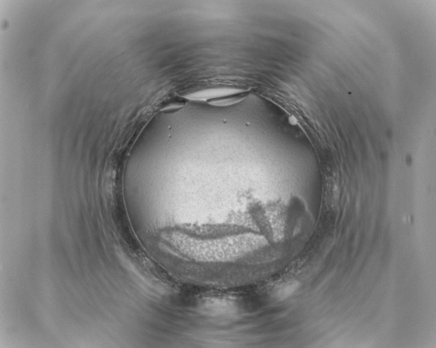 X0000088370263200706121127