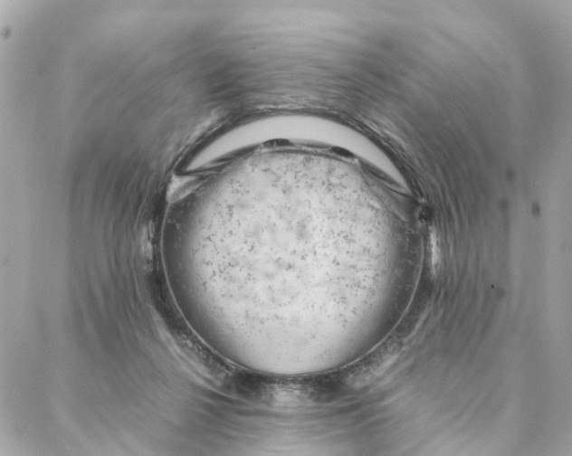 X0000088370264200706121127