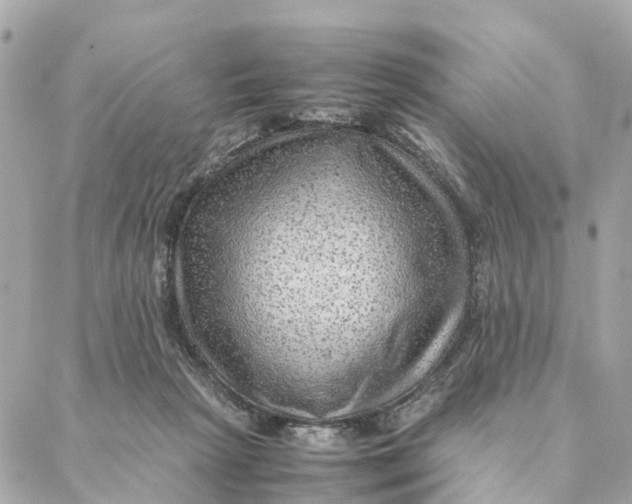 X0000088370265200706121127