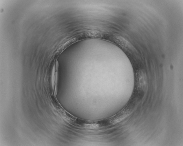 X0000088370266200706121127