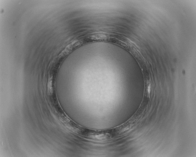 X0000088370267200706121127