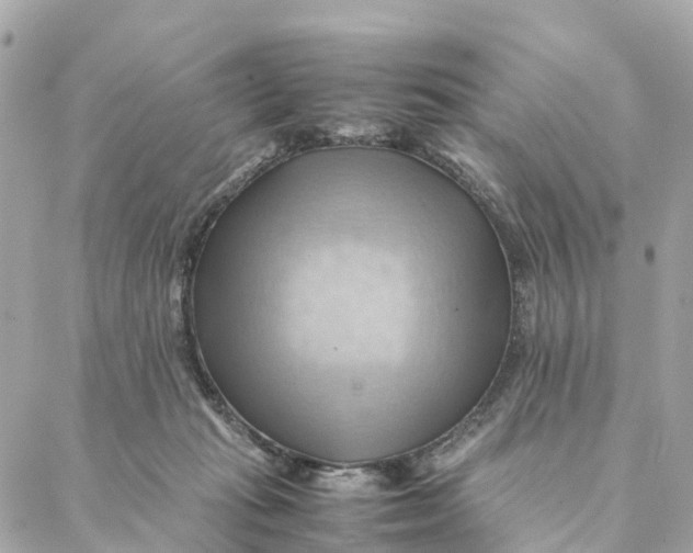 X0000088370269200706121127