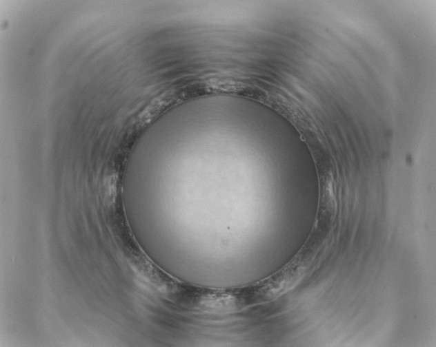 X0000088370271200706121127