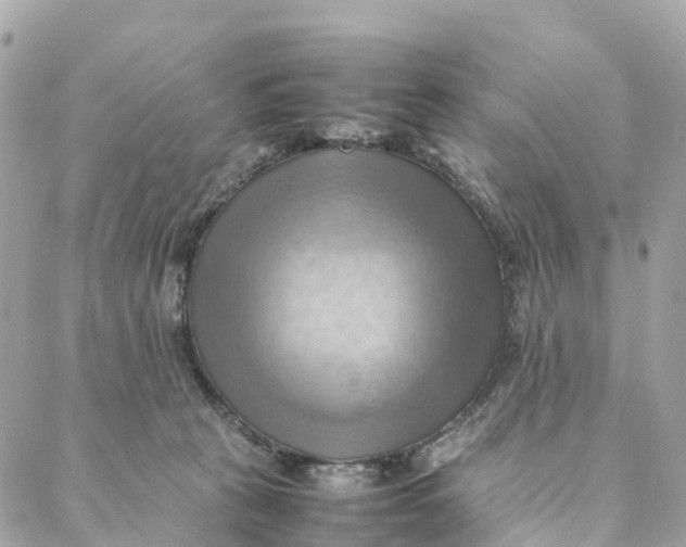 X0000088370273200706121127