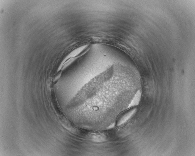 X0000088370275200706121127