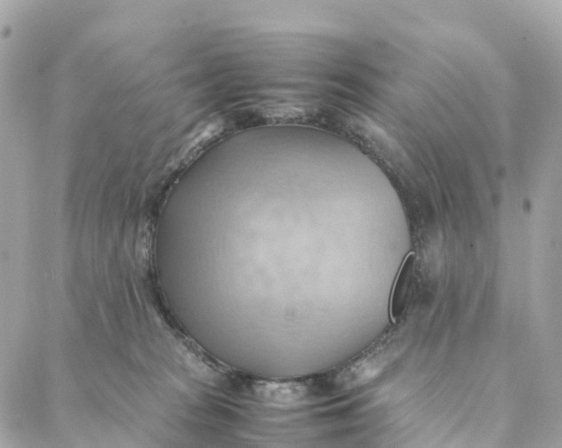 X0000088370277200706121127