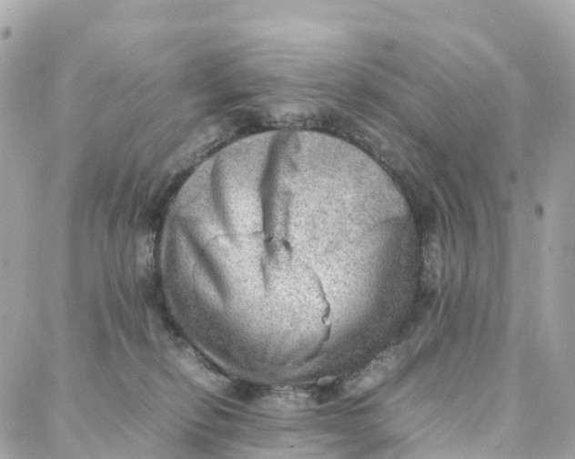 X0000088370278200706121127