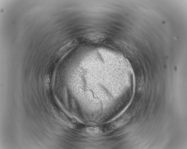 X0000088370279200706121128