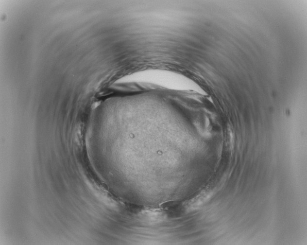 X0000088370280200706121128