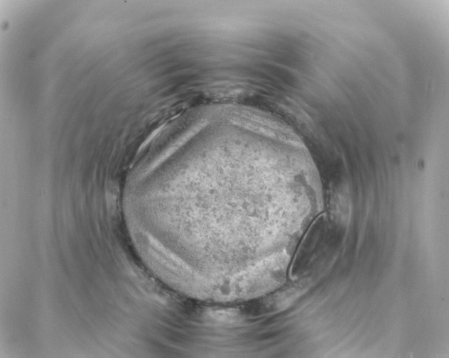 X0000088370283200706121128