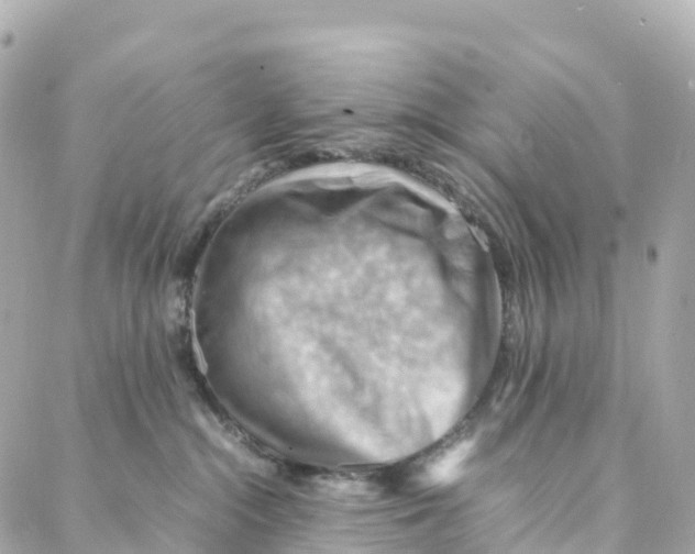 X0000088370284200706121128