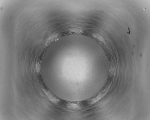 X0000088370285200706121128