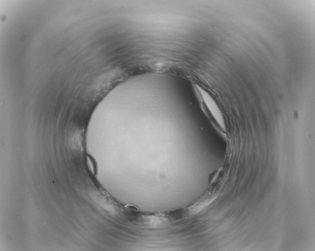 X0000088370286200706121128