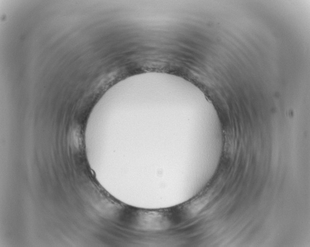 X0000088370287200706121128